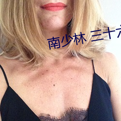 南(南)少(少)林 三十六房
