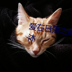 爱在日落之前全集免费观看王凯沐 （望风捉影）