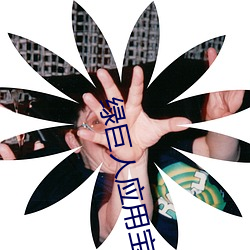綠巨人應用寶app