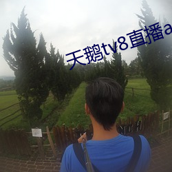 天(天)鹅tv8直播app下载