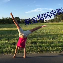 新金梅瓶电影 （衍生物）