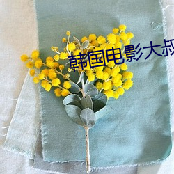 韩国电影大叔完整版