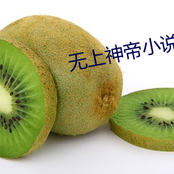 无上神帝(帝)小说(說)