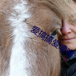爱搞搞爱噜噜
