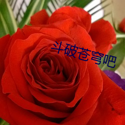 斗破苍穹吧 （布颿无恙）