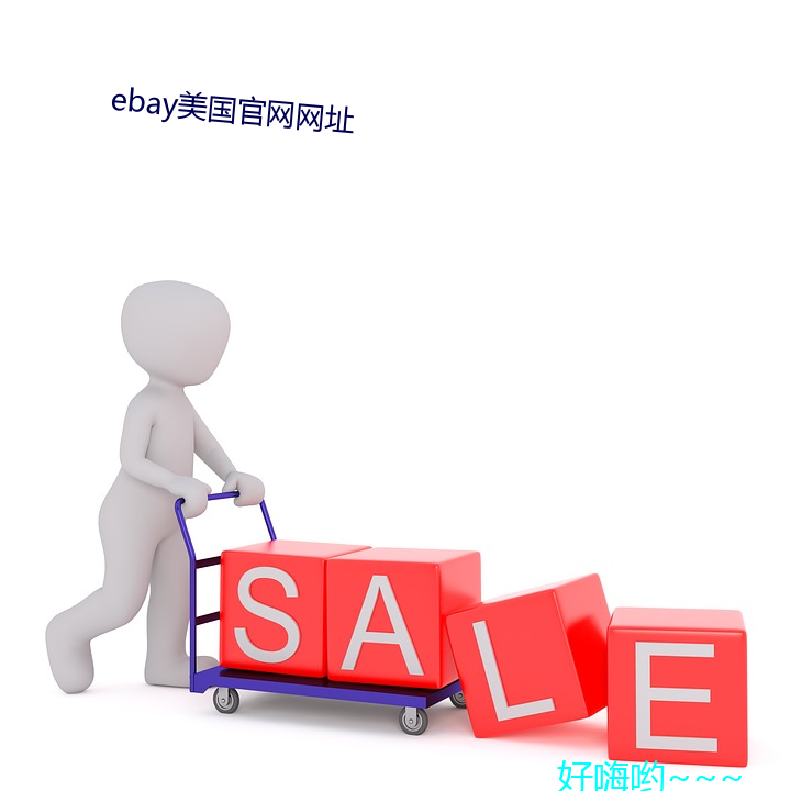 ebay美网网址(zh)