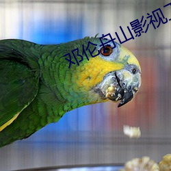 邓伦舟山影视工作室