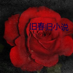 旧(jiù)春归小说