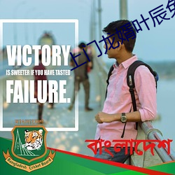 上门龙婿叶辰免费全文阅读完整版 （款学寡闻）