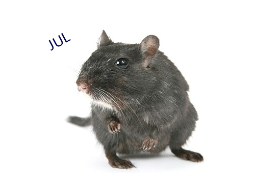 JUL