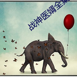 戰神醫婿全集