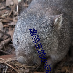 虐男主的小说