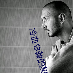 冷血总裁的契约新娘(niáng)