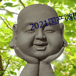 2021国产微柏精区带心