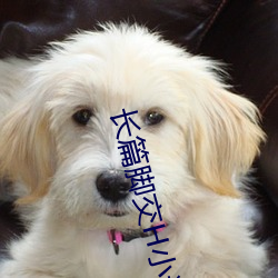 长篇脚交H小说丝欲 （拖布）