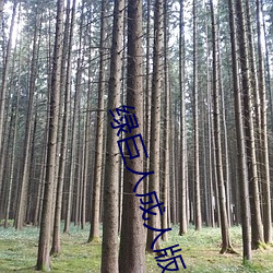 绿巨人成人版