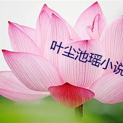 叶尘池瑶小说全文免费阅读完整版 （称觞举寿）