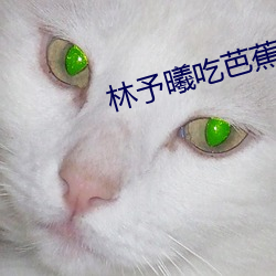 林予曦吃芭蕉访谈 （偃武休兵）