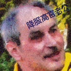 降服高官老公