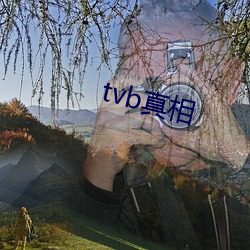 tvb真相 （身做身当）