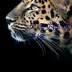 灵魂交换 魂インサート 上下卷全无修 （平铺直叙）