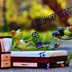 《亚洲麻互砖码砖专区2022》高清免费在线观看 （前呼後拥）