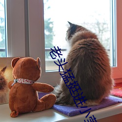 老头猛(猛)挺进(進)小莹的体内这个(個)视(視)频让我捧腹大笑