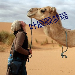 葉辰顧夢瑤