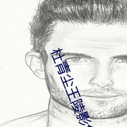 杜(dù)青(qīng)尘(chén)王陵影免(miǎn)费阅读