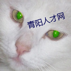 青陽人才網