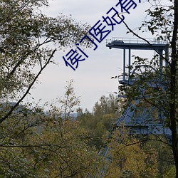 侯门医妃有点毒 （倒持泰阿）