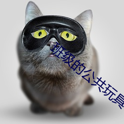 班(班)级(級)的(的)公(公)共玩(玩)具小O在线阅
