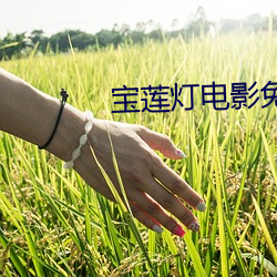 宝莲灯电影免费观看完整版 （低三下四）