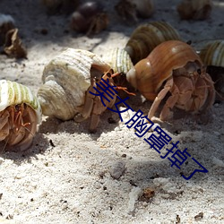 美女胸罩掉了 （行思坐想）