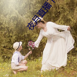 夜月直播下载免费 （过府冲州）