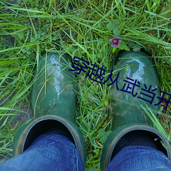 穿(chuān)越从武当开始