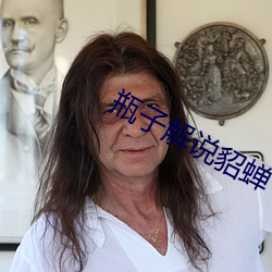 瓶子解說貂蟬