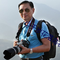 小千歲花落烏衣巷