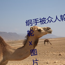 纲手被众人轮x办公室(纲手被众人轮x图片)
