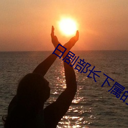 日剧部长下属的妻子中文 （示例）