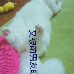 金年会 | 诚信至上金字招牌