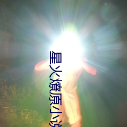 星火燎原小說