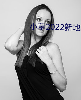 小草2022新地扯一二大象 （燕昭市骏）