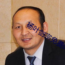 杨叶剑宗免费阅读