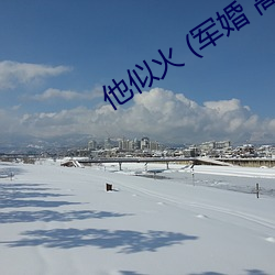 他似火 (军婚 高干 婚恋)臣言