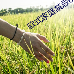 欧式(式)家庭禁(禁)忌6