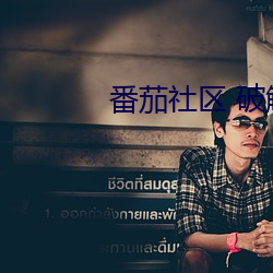 番茄(茄)社(社)区 破解