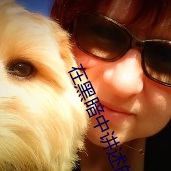 在黑暗(暗)中(中)讲(講)述的(的)恐怖故(故)事