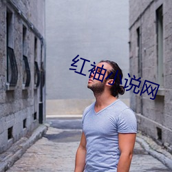 红袖(袖)小说网