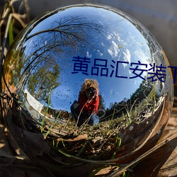 黄品汇安装下载